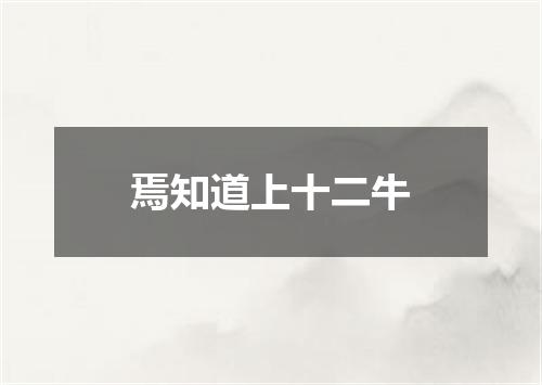 焉知道上十二牛