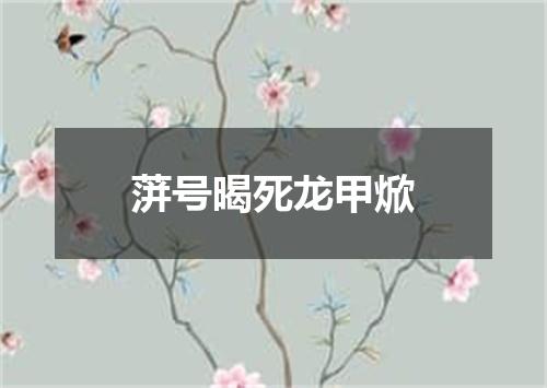 蓱号暍死龙甲焮