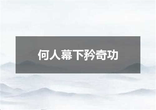 何人幕下矜奇功