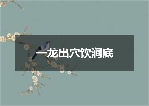 一龙出穴饮涧底
