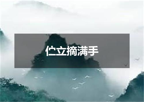 伫立摘满手