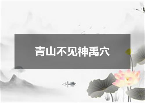 青山不见神禹穴