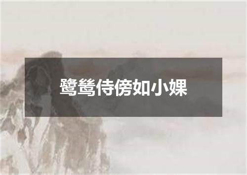 鹭鸶侍傍如小婐
