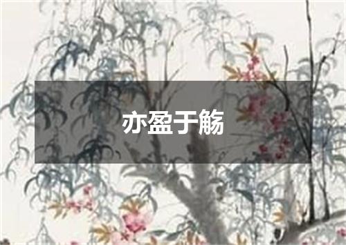 亦盈于觞