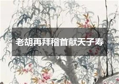 老胡再拜稽首献天子寿