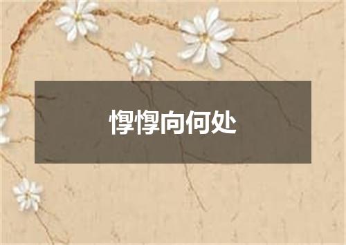 惸惸向何处