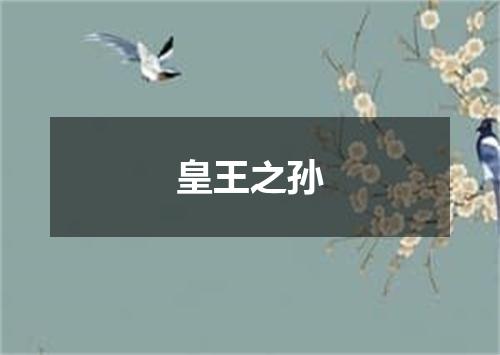 皇王之孙