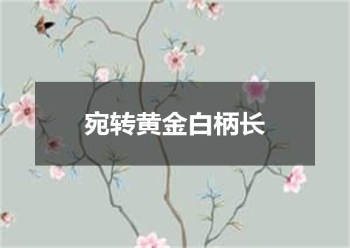 宛转黄金白柄长