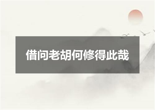 借问老胡何修得此哉