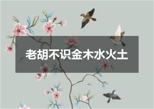 老胡不识金木水火土
