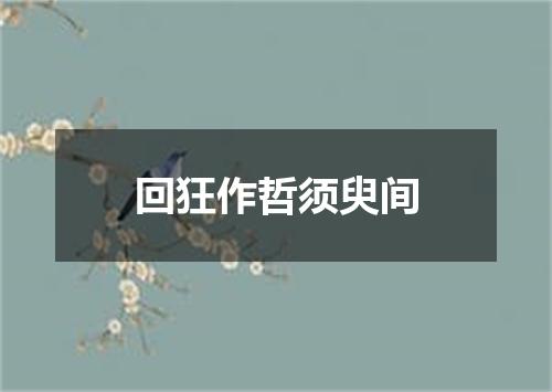 回狂作哲须臾间
