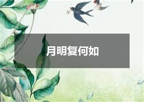 月明复何如