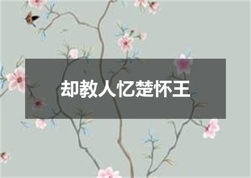 却教人忆楚怀王