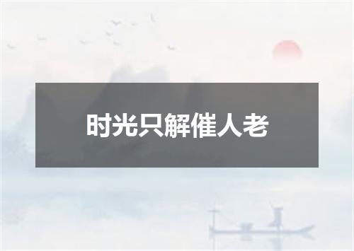 时光只解催人老
