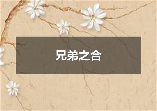 兄弟之合