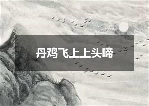 丹鸡飞上上头啼