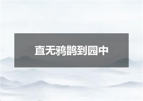 直无鸦鹊到园中