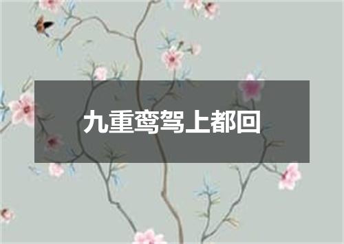 九重鸾驾上都回