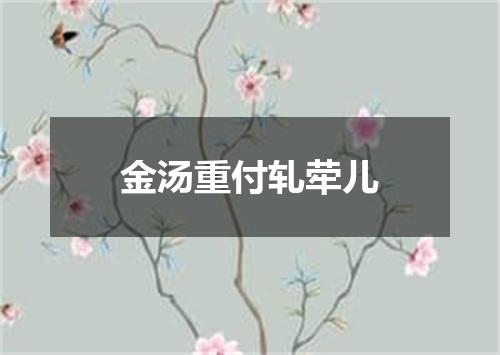 金汤重付轧荦儿