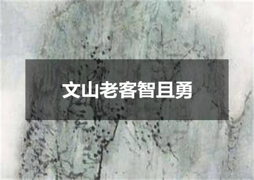 文山老客智且勇