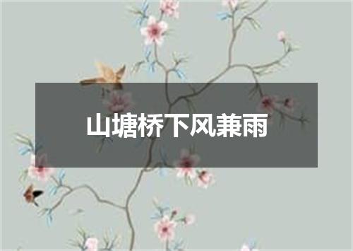 山塘桥下风兼雨