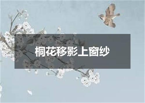 桐花移影上窗纱