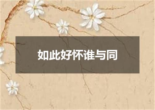 如此好怀谁与同