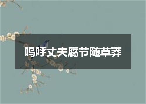 呜呼丈夫腐节随草莽