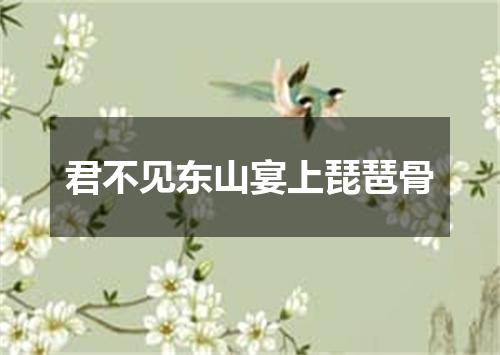 君不见东山宴上琵琶骨