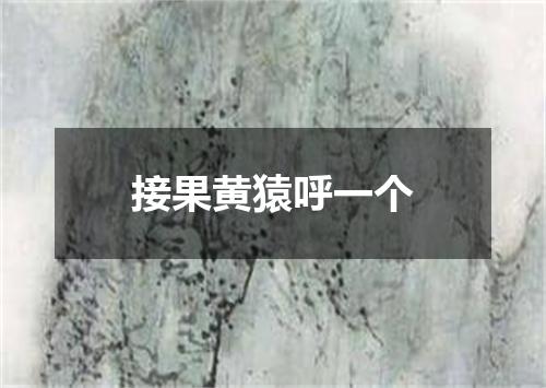 接果黄猿呼一个