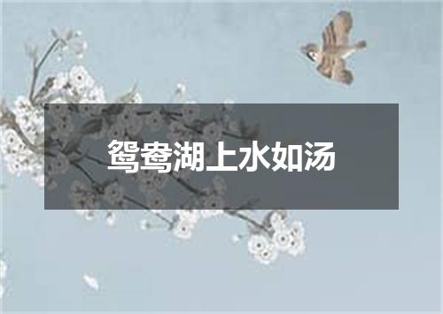 鸳鸯湖上水如汤