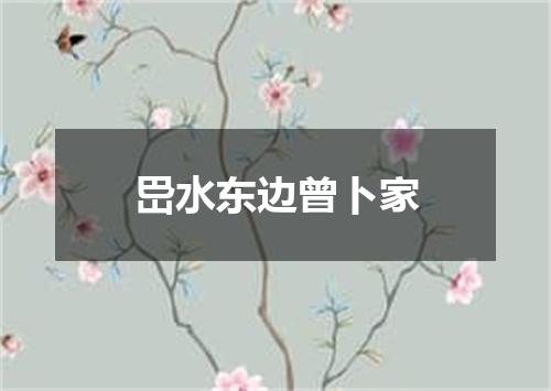 岊水东边曾卜家