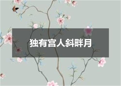 独有宫人斜畔月