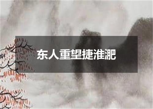 东人重望捷淮淝