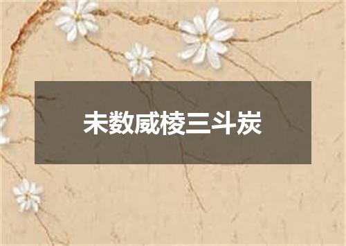 未数威棱三斗炭
