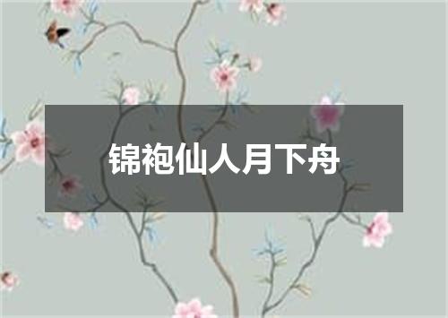 锦袍仙人月下舟