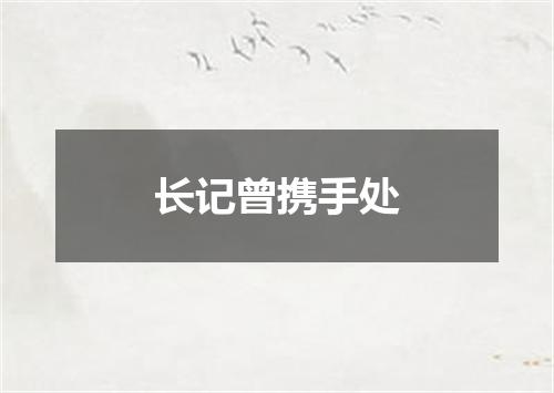 长记曾携手处