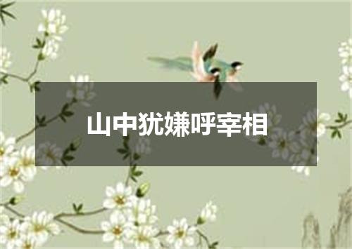 山中犹嫌呼宰相