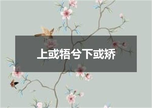 上或牾兮下或矫