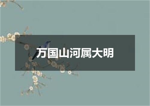 万国山河属大明