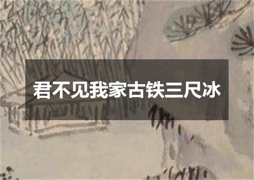 君不见我家古铁三尺冰