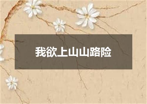 我欲上山山路险