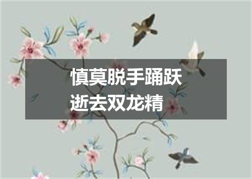 慎莫脱手踊跃逝去双龙精