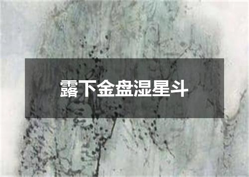 露下金盘湿星斗
