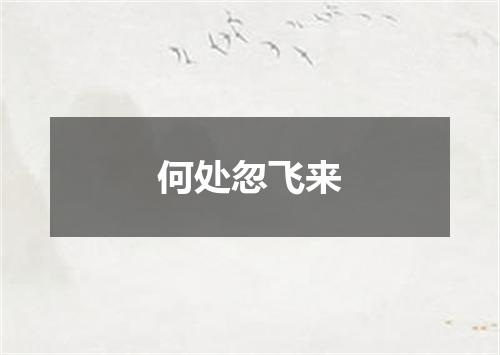 何处忽飞来