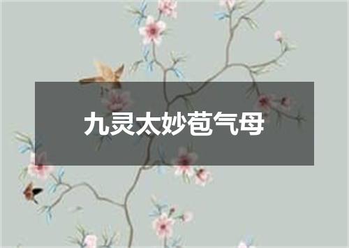 九灵太妙苞气母