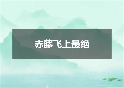 赤藤飞上最绝