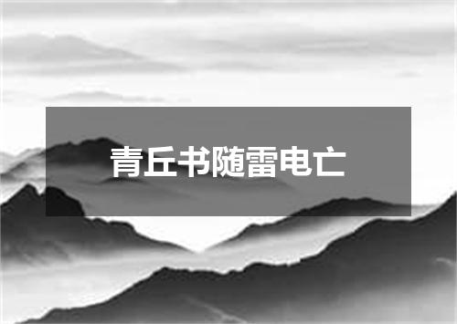 青丘书随雷电亡