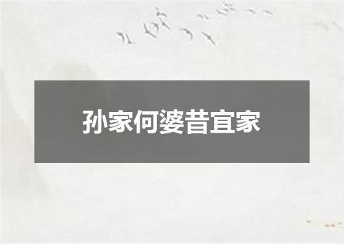孙家何婆昔宜家