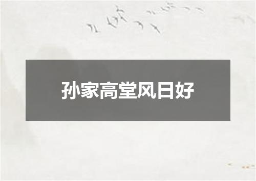 孙家高堂风日好